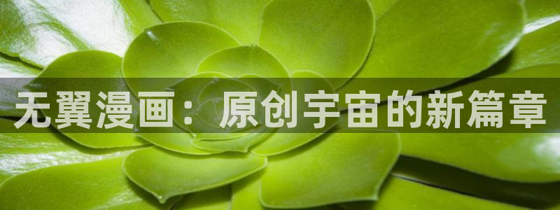 阿罗拉之夜虫虫漫画