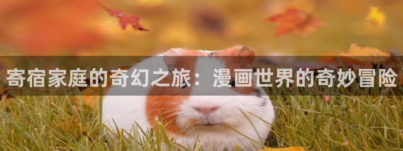 虫虫漫画页面免费漫画网