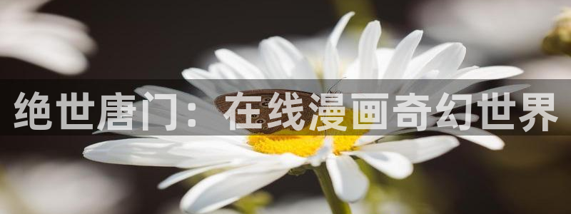 虫虫漫画的网址