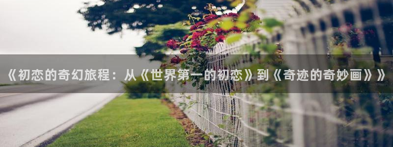 虫虫漫画里的都是什么