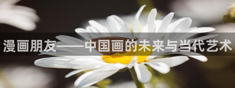 虫虫漫画登录页面免费漫画